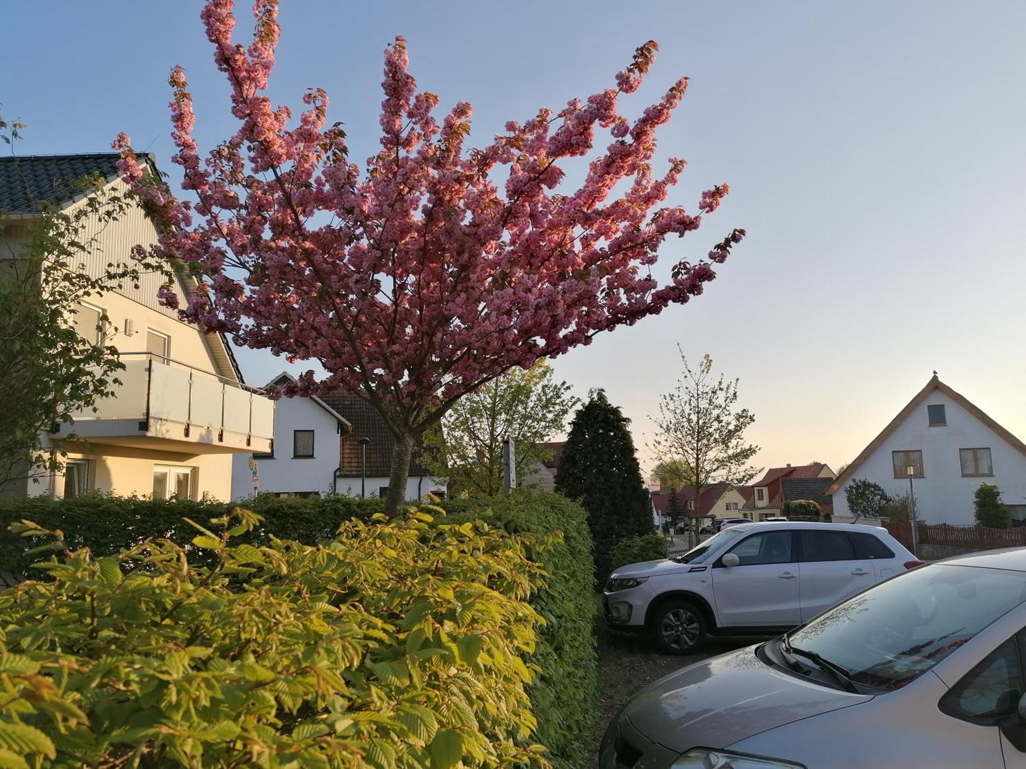 Pension Haus Anneliese Ückeritz Exterior foto