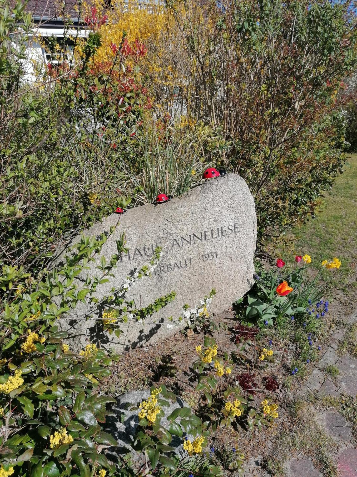 Pension Haus Anneliese Ückeritz Exterior foto